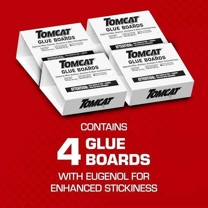 Tomcat Glue Boards with Eugenol — Enhanced Stickiness for Mice, Cockroaches & Insects, Flat or Covered Use, Ready-To-Use, 4 Traps