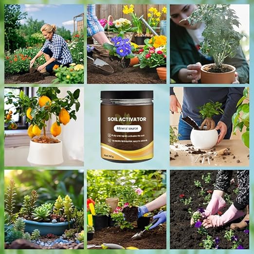 Soil Activator for Plants, Organic Bone Meal Plant Food for Indoor & Outdoor Plants, Potting Mix, Seedling Compost – Promoting Plant Rooting 2pcs