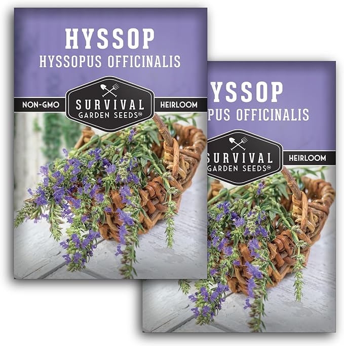 Survival Garden Seeds - Hyssop Seed for Planting - 2 Packets with Instructions to Plant and Grow Hyssopus Officinalis in Your Home Herb Garden - Non-GMO Heirloom Hummingbird Mint