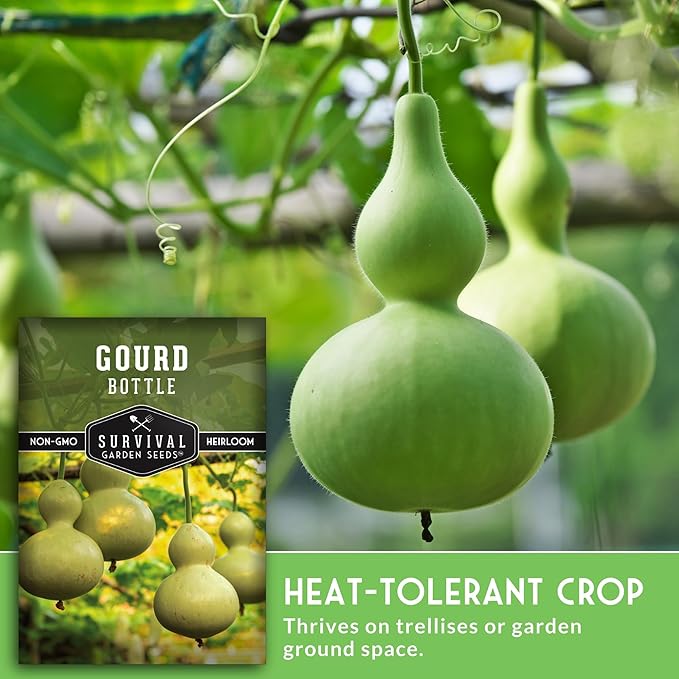 Bottle Gourd Seed for Planting - 3 Packets with Instructions to Plant & Grow Birdhouse or Calabash Gourds in Your Home Vegetable Garden - Non-GMO Heirloom Variety - Survival Garden Seeds