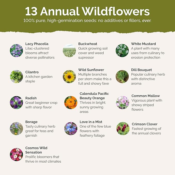 Eden Brothers Bee Happy Organic Wildflower Mixed Seeds for Planting, 5 lb, 2,400,000+ Seeds with Cosmos, Crimson Clover | Attracts Pollinators, Plant in Spring or Fall, Zones 3, 4, 5, 6, 7, 8, 9, 10
