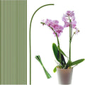 20Pcs Plant Stakes,Plant Sticks,Garden Green Bendable Single Stem Plant Support Stakes for Indoor and Outdoor Plants,Potted Plants,Flowers Orchid Peony Rose-16 Inches
