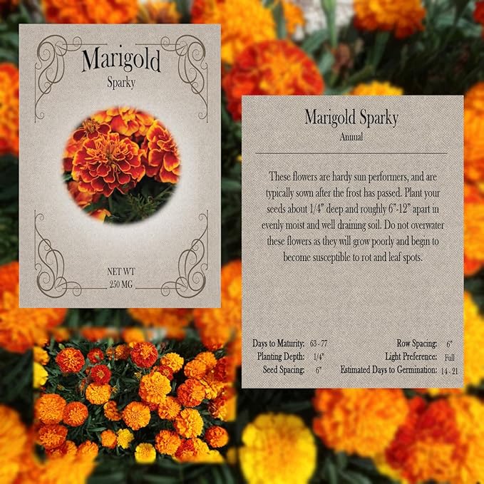 Flower Seed Set - Flower Varieties of Non-GMO & Heirloom Premium Seeds for Planting - Sunflower, Marigold, Lavender, and More! (26, Set 1)