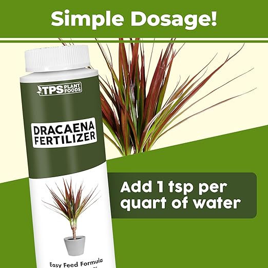 Dracaena Fertilizer – Liquid Plant Food for Rich Green Leaves & Strong Cane Growth, 8 oz