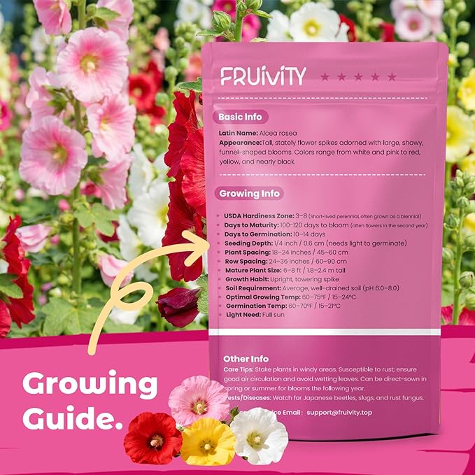 Hollyhock Seeds 3000+ Bulk Pack - Mixed Colors Perennial Heirloom Non-GMO, Easy to Grow, Attracts Pollinators Butterflies & Bees, Ideal for Borders, Cottage Gardens & Outdoor Landscaping & Backyard
