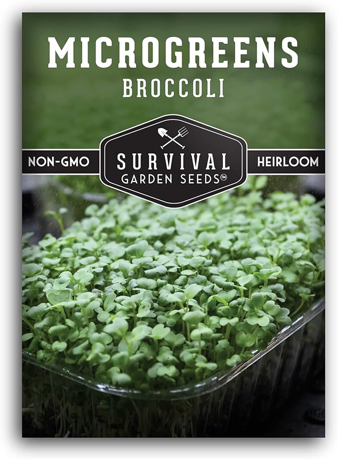 Broccoli Microgreen Seeds for Planting - Non-GMO Heirloom Broccoli Seeds to Grow Microgreens - Indoors or Hydroponic - Fast Sprouting, Nutrient Dense - Survival Garden Seeds (1 Pack)
