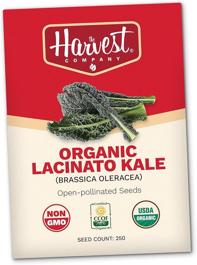The Harvest Company Organic Seeds Collection – USDA Certified, Non-GMO, Open-Pollinated for Indoor & Outdoor Planting (Lacinato Kale (250/Seeds))