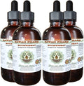 Hawaii Pharm Buckwheat Alcohol-Free Liquid Extract, Buckwheat (Fagopyrum Esculentum) Dried Sprouting Seed Glycerite Natural Herbal Supplement 4x4 oz
