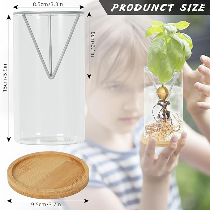 Avocado Tree Growing Kits, Avocado Growing Vase Wooden Base Avocado Seed Starter Vase Glass Plant Pot Easy Seed Sprout Starter Gift for Women Gardening Lovers Home Office Table Decoration