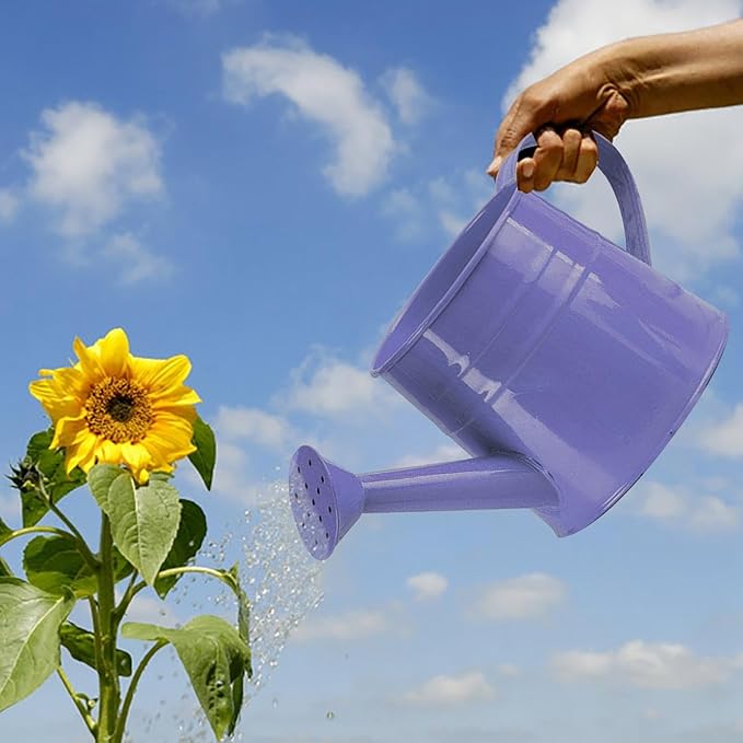 Watering Can, 1L Metal Flower Garden Watering Can, Lightweight Durable Decorative Gardening Tool for Outdoor Indoor Plants Lawn Garden (Purple)