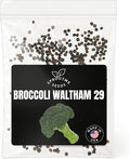Broccoli Waltham 29 Seeds for Planting – 300+ Non-GMO Heirloom USA-Grown, Cool Season Vegetable with Large Tender Heads and High Germination (Brassica oleracea VAR. Italica)