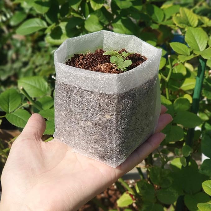 Belit Nursery Growing Bags, 100 Pcs Fabric Seedling Pots Non-Woven Pouch for Gardening Seed Plant Bag, Potato, Flower, Tomato Plant Starts (5.7" x 5.7 ")