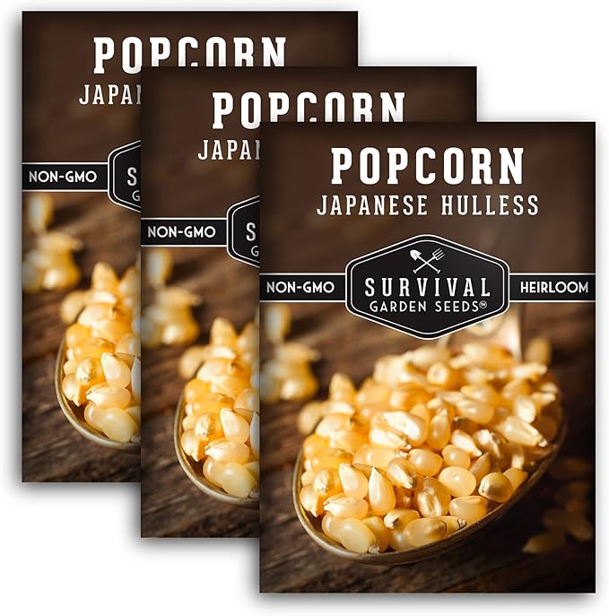 Survival Garden Seeds - Japanese Hulless Popcorn Seed for Planting - 3 Packets with Instructions to Plant and Grow Delicious Kernel Popcorn in Your Home Vegetable Garden - Non-GMO Heirloom Variety