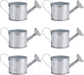 Mini Handmade Decorative Watering Can, Set of 6, Height 1.42 inch, Cute Metal Jug for Hand Crafts,Garden Theme Parties,Home Decor and Accessories of Refrigerator Magnets (Silver, Height 1.42 inch)