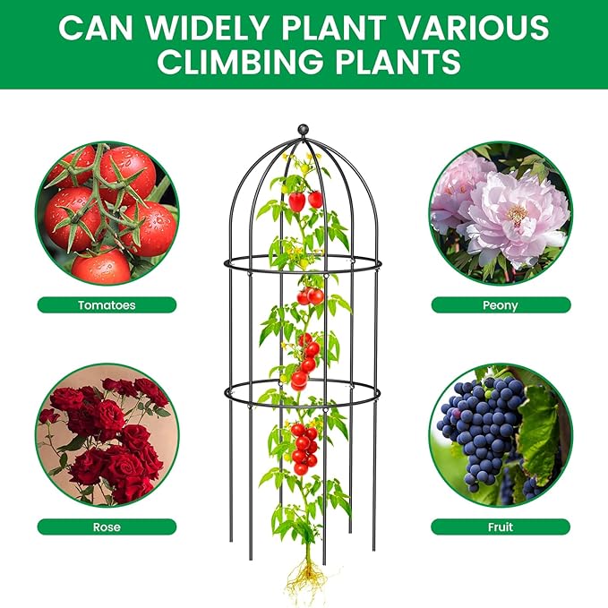 SUNYRISY 3 Pack Metal Plant Support Cage for Tomato Peony Cucumber, 31.5in H Garden Arch Obelisk Trellis for Climbing Plants Supports Outdoor for Vine Vegetables Flowers, Black