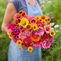 Eden Brothers Zin Master Flower Mixed Seeds for Planting, 1 lb, 480,000+ Seeds with California Giant, Mexican, Lilliput Zinnia | Attracts Pollinators, Plant in Spring, Zones 3, 4, 5, 6, 7, 8, 9, 10