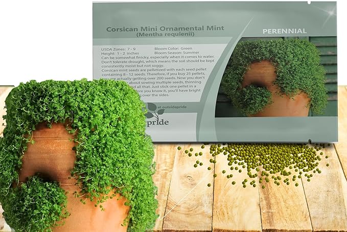 Outsidepride Mentha Corsican Mini Mint Seeds for Planting - 50 Pcs Pellets Perennial Drought-Tolerant Creeping Ground Cover Seeds for Lush, Aromatic Gardens, Ideal for Low-Maintenance Landscaping