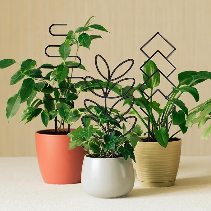Plant Trellis for Climbing Plants Indoor, Small 14.6in Metal Trellis for Potted Plants, Mini Houseplant Hoya Pothos Trellis with Ties, Set of 4p Different Shap, Black