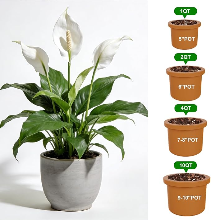 Premium Peace Lily Potting Soil 4qt– All Natural, Well-Draining & Breathable Soil for Peace Lily & Indoor Plants