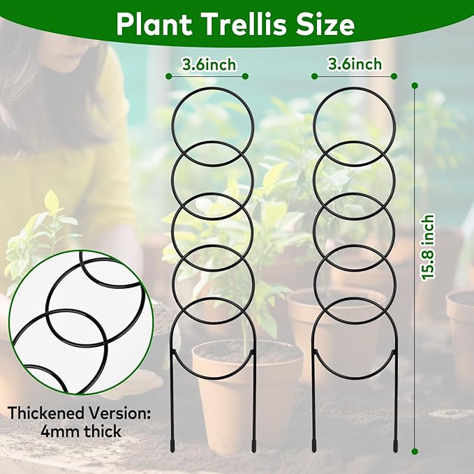 16 Inch Plant Trellis Indoor for Climbing Plants,Metal Small Garden Trellis for Potted Plants,Plant Stakes for Indoor Plants Accessories Hoya,Flower,Plant Support,Plant Gifts 2PCS