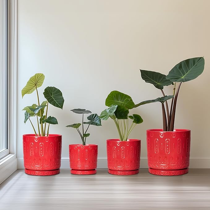 Eightpot 6 Inch Plant Pot, Ceramic Flower Pots for Indoor Outdoor Plants, Round Pots for Plants with Drainage Hole and Tray, Boho Decorative Planter, Kitchen Decor, Gardening Gifts for Women, Red