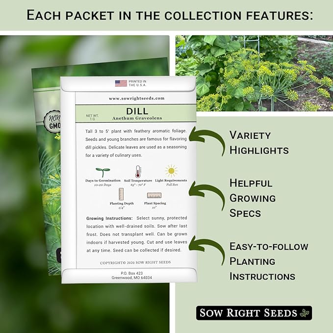 Sow Right Seeds - Dill Seed Collection for Planting - 2 Varieties Compact and Bouquet - Non-GMO Heirloom Packet with Instructions to Grow Kitchen Herb Garden - Indoors or Outdoors - Fragrant Culinary