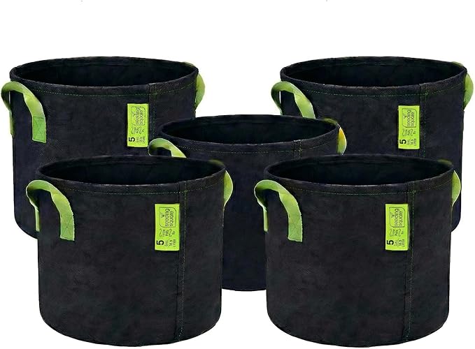 Seeding Square Fabric Grow Bags (5 Gallon) – Durable, Reusable Air-Pruning Plant Pots for Vegetables, Fruits & Herbs – Eco-Friendly Breathable Planter Bags for Healthy Roots & Bigger Harvests