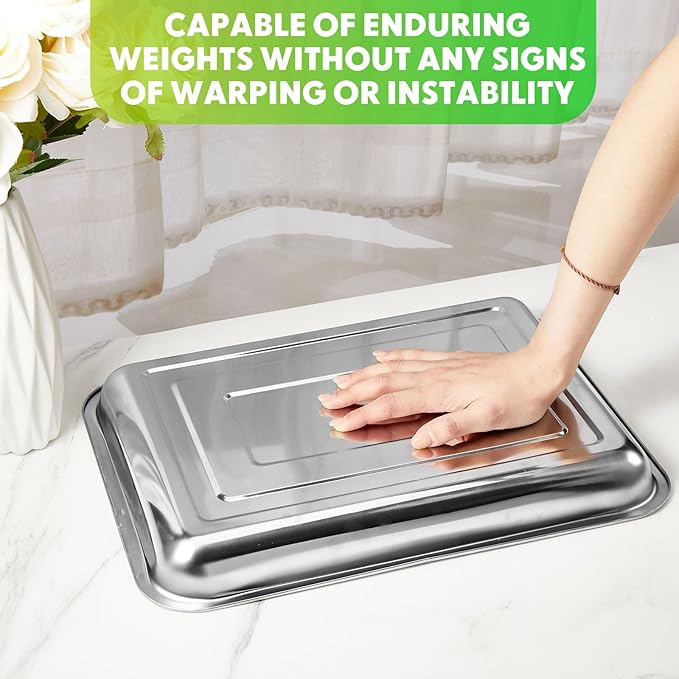 10 Pcs Stainless Steel Seed Starter Tray, Stainless Metal Garden Trays, Nursery Seedling Pots for Collection Transplantation & Propagation Flats, No Drain Holes(15.8 x 11.8 x 1.4 Inch)