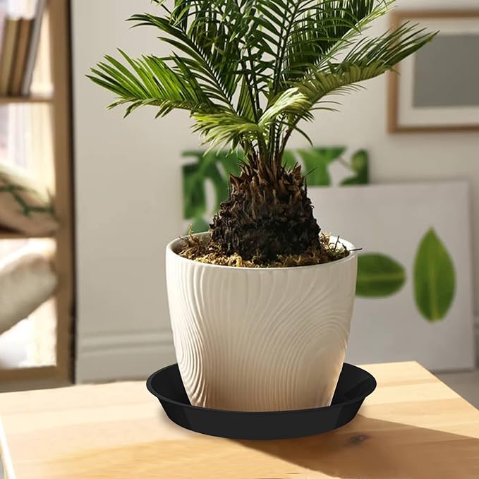 6 Pack Plant Saucer 12 14 16 18 20 22 Inch Plastic Plant Tray, Sturdy and Durable Flower Pot Container Accessories Plant Pot Saucers for Indoor and Outdoor (20 Inch, Black)