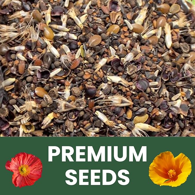 California Regional Mix – 19,000 Seeds for Planting – 2026 Season – 1 Ounce Pouch