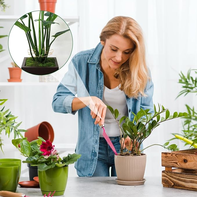 5 PCS Iron Monstera Plant Stabilizer, Metal Monstera Plant Stabilizer for Indoor Plants, Plants Stem Holder for Thriving Growth Indoor Plants(Gold)