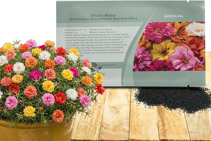 Outsidepride Sundial Mixed Moss Rose Seeds - 500 Pcs Annual, Drought & Heat Tolerant, Pollinator Friendly Ground Cover Seeds for Planting w/Vibrant Blooms & Succulent Foliage, Ideal for Xeriscaping