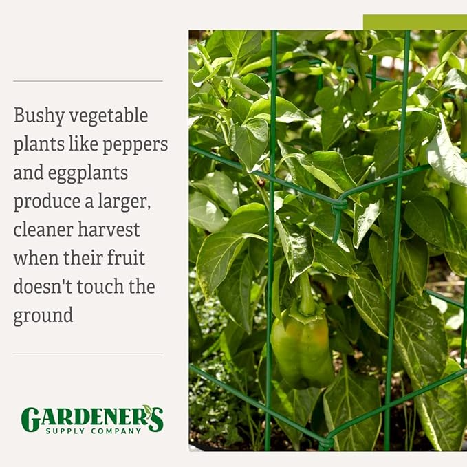 Gardeners Supply Company Pepper and Eggplant Cages Plant Stand | Heavy Gauge Sturdy Garden Plants Support for Eggplants Peppers and Other Climbing Plants | No Assembly Needed | Green 24"H (Set of 3)