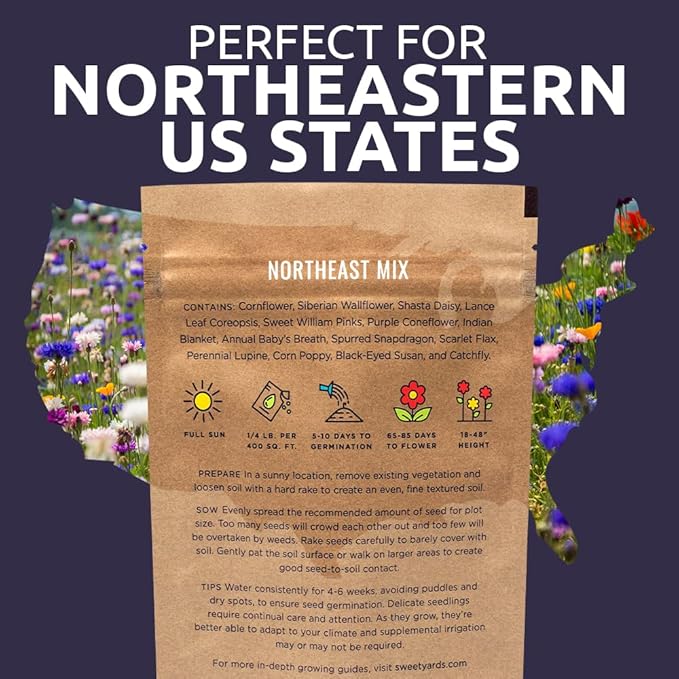 Sweet Yards - Northeast Wildflower Seed Regional Mixes - Bulk 1/4 Pound Bag - Over 30,000 Native Seeds - Open Pollinated and Non GMO Varieties for New York, Virginia, Pennsylvania, Maine and More!