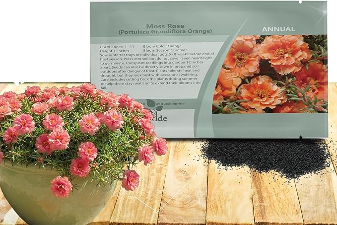 Outsidepride Sundial Peach Portulaca Moss Rose Seeds - 500 Pcs Annual, Heat & Drought Tolerant, Soil Adaptable Moss Seeds Ground Cover & Flower Seeds for Planting in Gardens & Xeriscapes (AAS Winner)