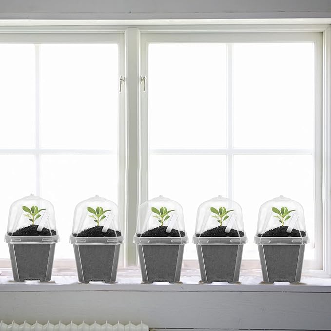 EBaokuup 30PCS Clear Plant Nursery Pots with Humidity Dome - 3" Durable Plastic Gardening Pot, Small Plant Container for Seedlings/Vegetables/Succulents/Cuttings