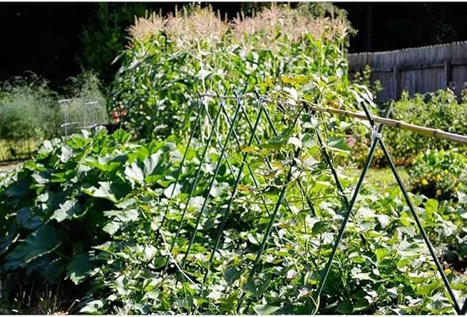 G-LEAF Garden Stakes 5 ft Plastic Coated Steel Tube Sturdy Metal Plant Sticks for Tomato,Cucumber,Bean,Tree,Pack of 25
