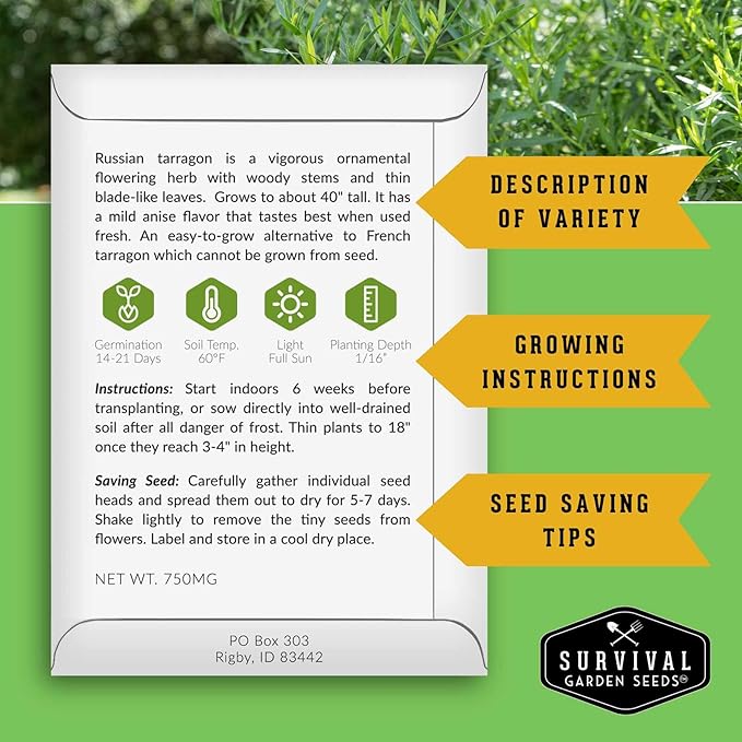 Russian Tarragon Seeds for Planting - Plant & Grow Big Flowering Herbs in Your Home Vegetable Garden - Non-GMO Heirloom Variety - Survival Garden Seeds (1 Pack)