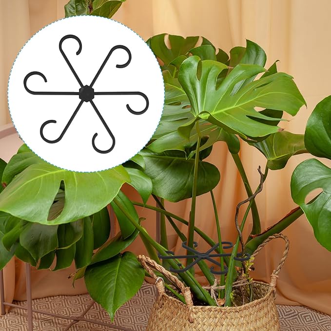 4pcs Plant Stem Support, Climbing Houseplant Leaf Support Ring Plant Climbers Stem Holders Plants Climbing Rack Plant Flower Gardening Growth Cultivation Accessories Tools(Black)