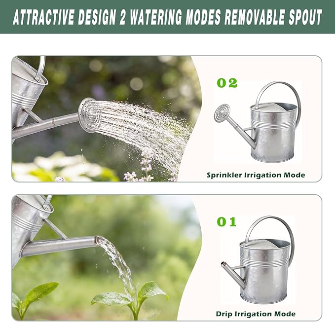 9.5L Metal Watering Can for Outdoor Garden, Galvanized Steel Large Watering Pot with Top Handle and Long Spout, Rust-Resistant Water Can for Flowers, Lawns, and Farm Use
