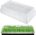 Apipi 10 Pcs 4'' High Durable Humidity Domes - Thickened 1020 Seed Starting Tray Covers with Adjustable Vents, Greenhouse Plant Growing Lid Dome for Seedling Growth Well Water Retention