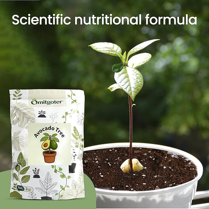 Avocado Soil 4qt, 100% Natural Organic Potting Soil for All-Stage Avocado Tree Growth