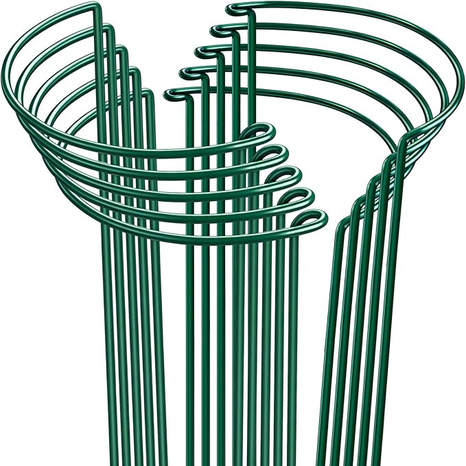 HiGift 10 Pack 24" H x 10" W Tall Plant Support Stakes, Half Round Metal Peony Cages and Supports, Monstera Plant Support Snake Plant Stake Flower Support Ring for Tomato, Hydrangea Outdoor Indoor