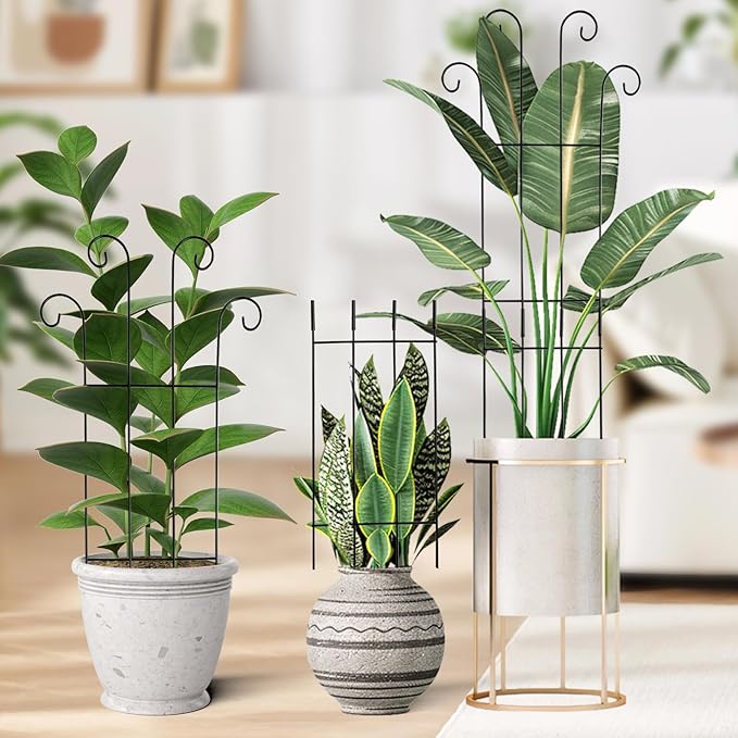 32.6 in Tall Plant Trellis Indoor,Metal Garden Trellis for Climbing Plants, 2P,Black