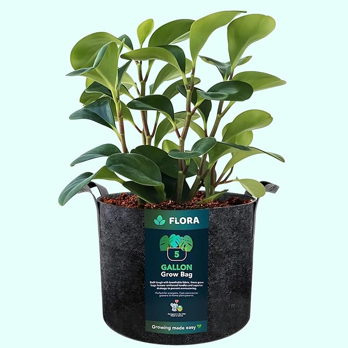 Flora 5-Gallon Thickened 300G Nonwoven Fabric Grow Bags for Plants, Heavy-Duty Pots with Handles 1-Pack