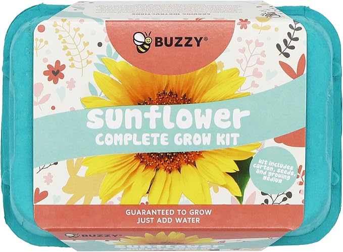 Buzzy Seeds Flower Starter Kit | 2-Pack Eco-Friendly Colorful Egg Cartons | Sunflower & Daisy Seeds | Indoor Flower Grow Kit | Gardening Gift | Ideal for Easter or Mother's Day Gifting