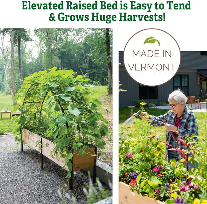 Gardener's Supply Company Elevated Cedar Raised Garden Bed | 2' x 8' Heavy Duty Standing Planter Box with Aluminum Corners for Outdoor Plants Vegetables Flowers | Perfect for Patio & Backyard