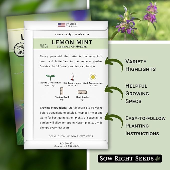 Sow Right Seeds - Lemon Mint Seed for Planting - Non-GMO Heirloom with Packet with Instructions to Plant and Grow an Herbal Tea Garden - Indoors or Outdoor - Monarda to Attract Pollinators (4)