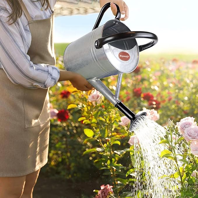 Metal Watering Can with Removable Spout, Galvanized Steel Plants Water Can for Women, Men and Kids' Outdoor or Indoor Gardening - Nice Flower Watering Pot Gift & Decoration (Zinc, 1 Gallon)