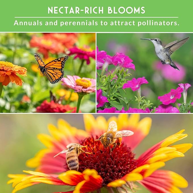 Heirloom Pollinator Flower Seeds 3 Pack for Planting - Attract Butterflies, Bees, Hummingbirds - Nectar & Pollen Rich Perennial & Annual Wildflowers for Pollinators - Survival Garden Seeds